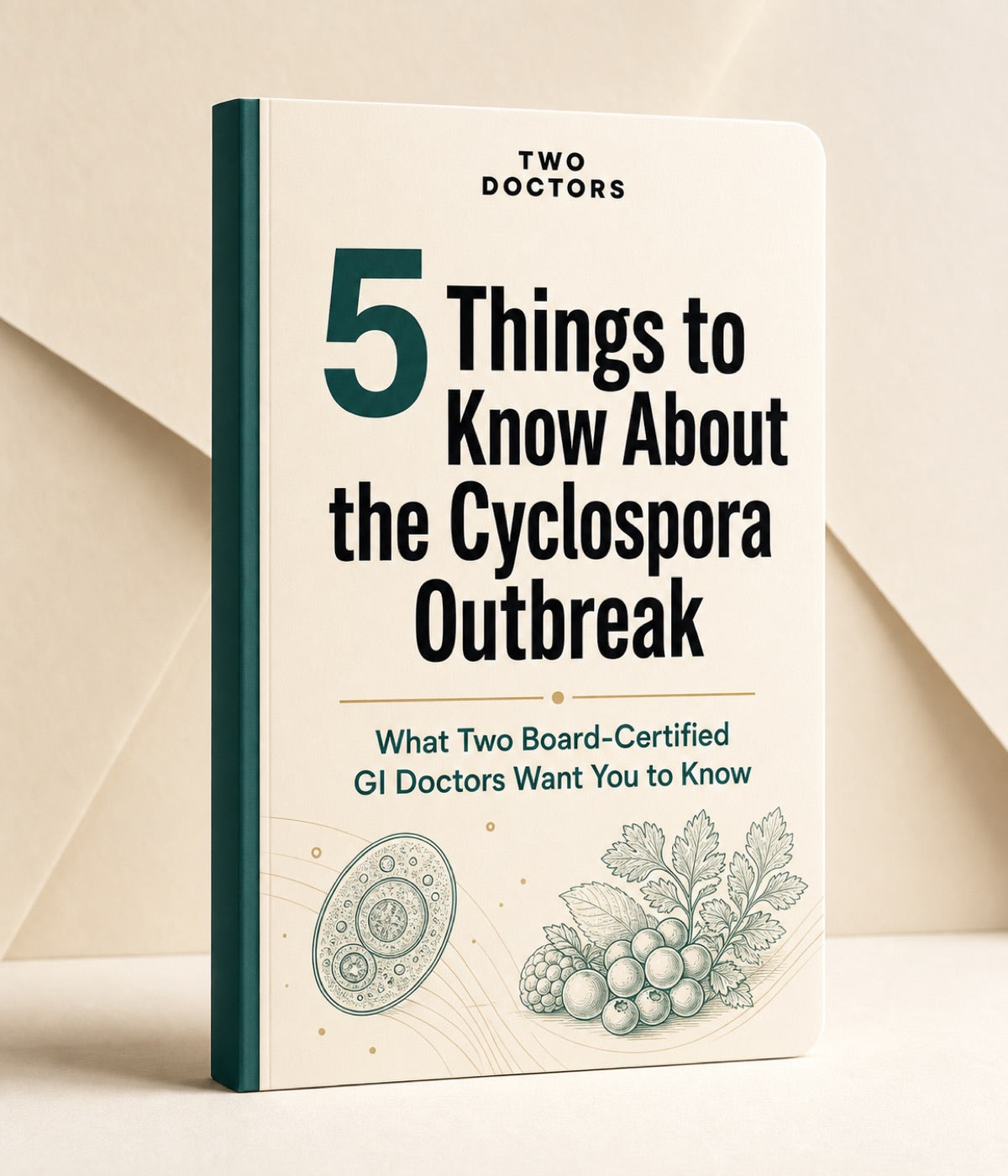 Two Doctors Cyclospora outbreak guide cover